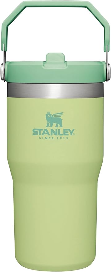 Stanley IceFlow Flip Straw Tumbler with Handle 20 oz | Twist On Lid and Flip Up Straw | Leak Resistant Water Bottle | Insulated Stainless Steel |BPA-Free | Citron