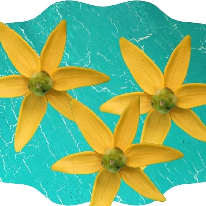 PRISTINE Toilet Paper Spray - As Seen on Shark Tank, More Natural Personal Cleansing Wipes & Flushable Wet Wipes Alternative, Spray Toilet Paper to Create Flushable Wipe, Original, 4 fl oz