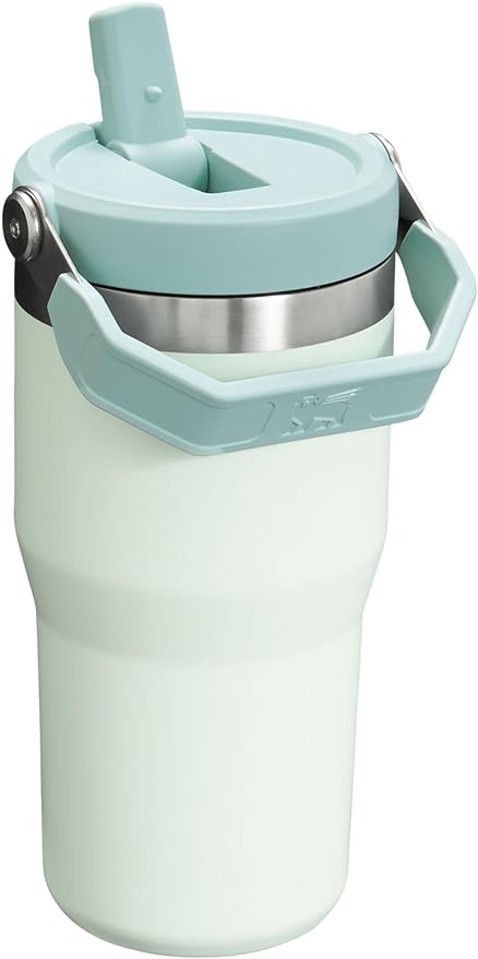 Stanley IceFlow Flip Straw Tumbler with Handle 20 oz | Twist On Lid and Flip Up Straw | Leak Resistant Water Bottle | Insulated Stainless Steel |BPA-Free | Mist