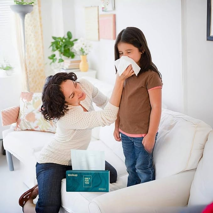 Facial Tissues, 4-Ply, 400 Sheets Per Box For Home Office Camp Native Wood Pulp Fiber Material, NOT In Box (6 Packs 2400 Sheets)