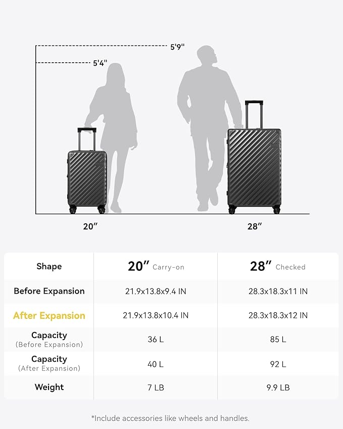 LUGGEX Luggage with Spinner Wheels, Polycarbonate Expandable Hard Shell Suitcase, 2 Piece Set, Charcoal Metallic