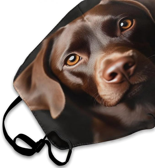 Men Women Face Scarf Mask Balaclavas Dustproof Cool Decoration Mouth Scarf for Hiking Running Skiing Windproof