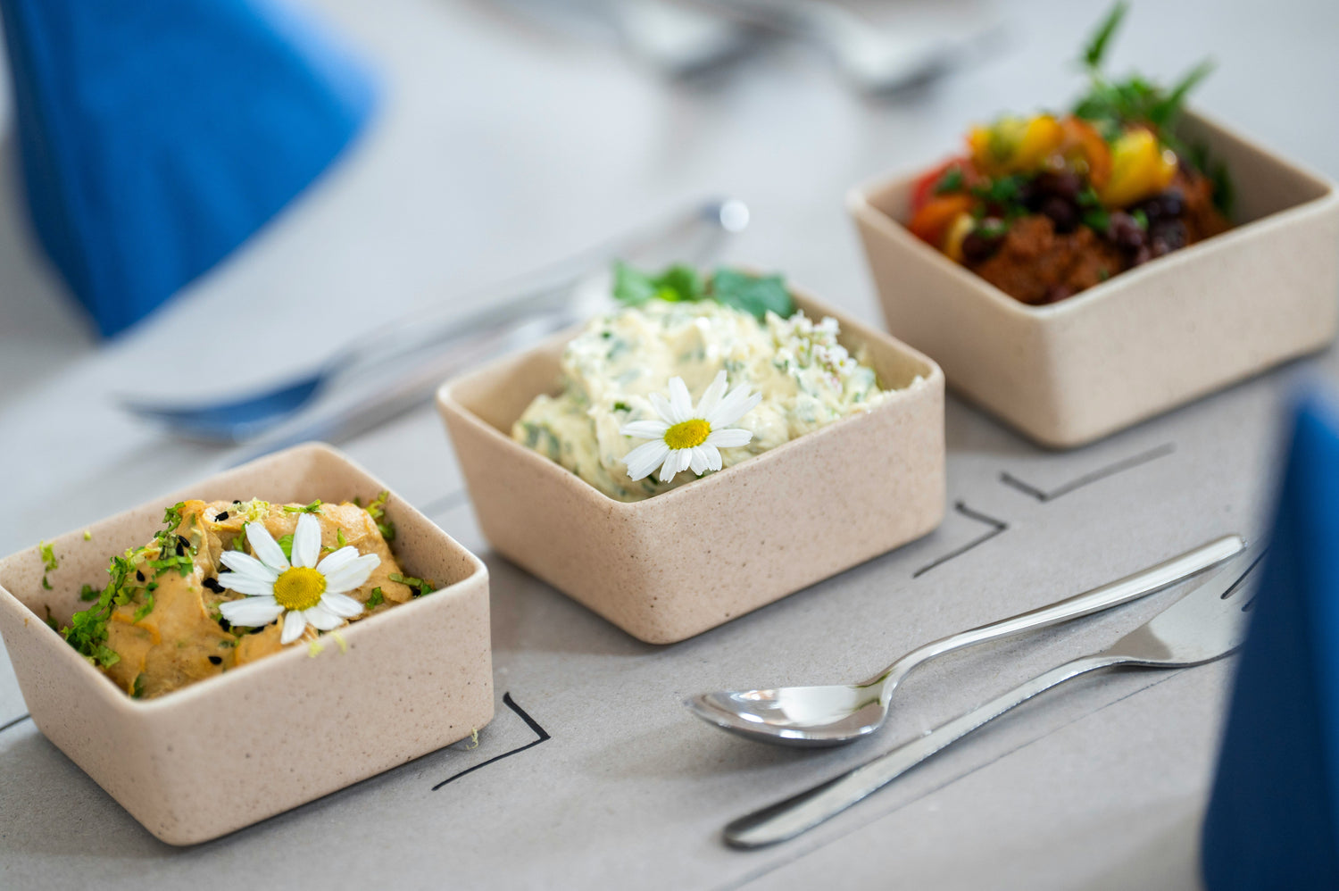 Portable Cutlery & Lunch Boxes