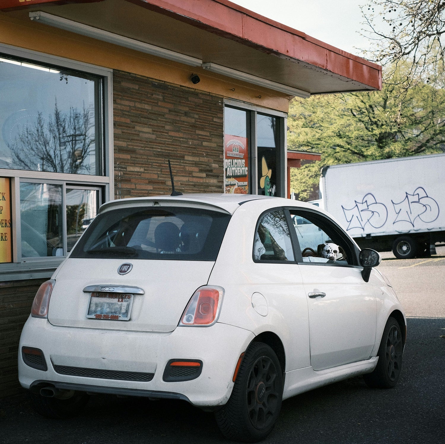 Car Interior Accessories