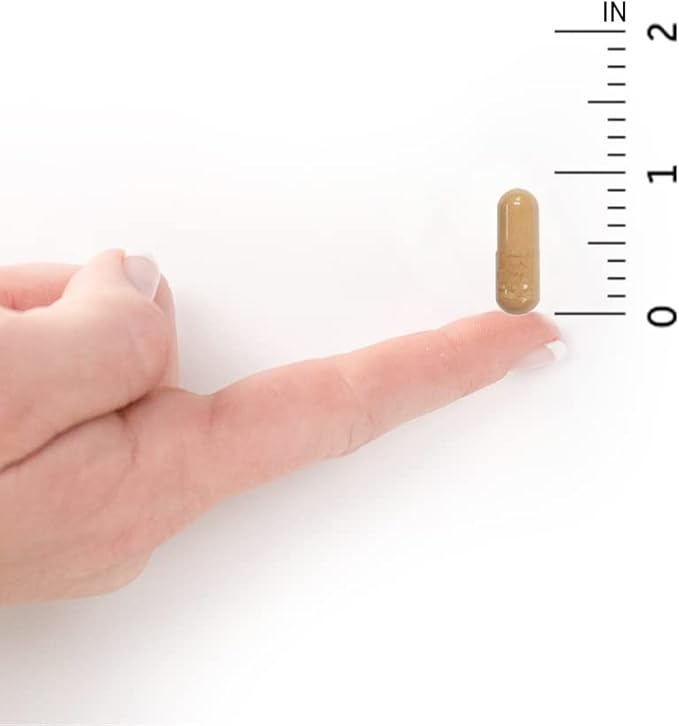 Garden of Life RAW Probiotics Vaginal Care Shelf Stable - 50 Billion CFU Guaranteed Through Expiration, Acidophilus - Once Daily - Certified Gluten Free - No Refrigeration - 30 Vegetarian Capsules