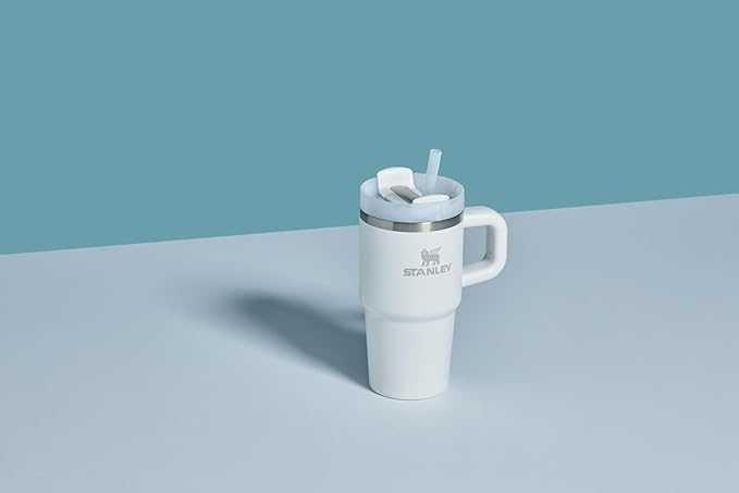 Stanley Quencher H2.0 Tumbler with Handle and Straw 14 oz | Flowstate 3-Position Lid | Cup Holder Compatible for Travel | Insulated Stainless Steel Cup | BPA-Free | Frost