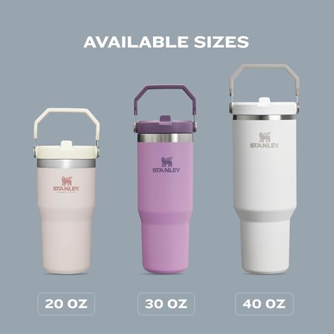 Stanley IceFlow 2.0 Flip Straw Tumbler with Handle 20 oz | Twist On Lid and Flip Up Straw | Leak Resistant Water Bottle | Insulated Stainless Steel | BPA-Free | Twilight
