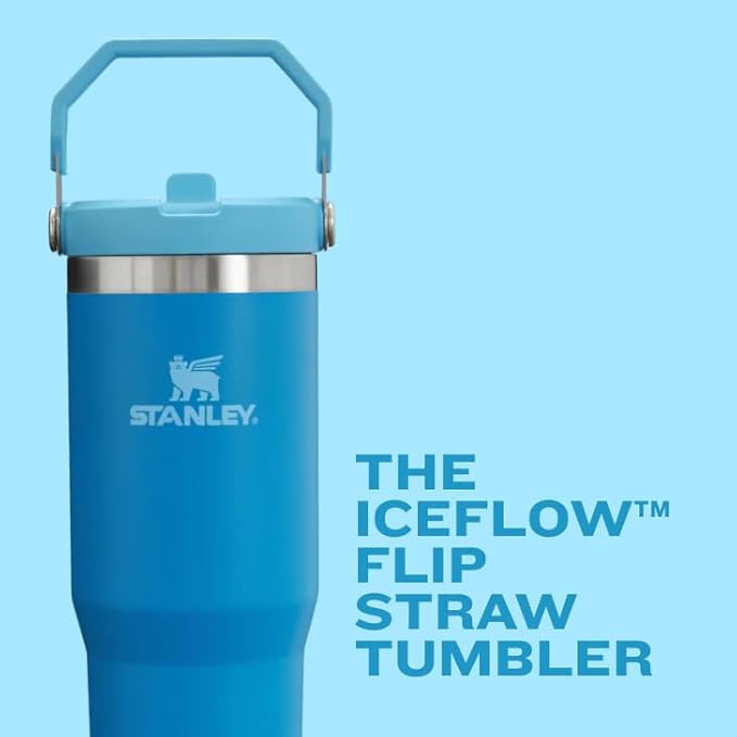 Stanley IceFlow Flip Straw Tumbler with Handle 20 oz | Twist On Lid and Flip Up Straw | Leak Resistant Water Bottle | Insulated Stainless Steel |BPA-Free | Pomelo