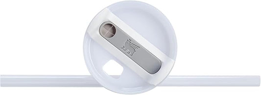 Stanley Quencher H2.0 Tumbler with Handle and Straw 14 oz | Flowstate 3-Position Lid | Cup Holder Compatible for Travel | Insulated Stainless Steel Cup | BPA-Free | Frost