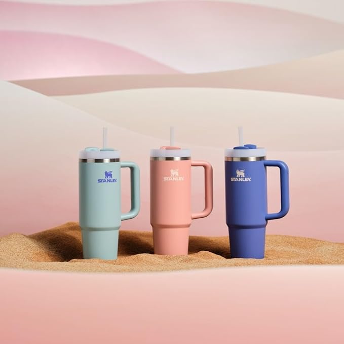 STANLEY Quencher H2.0 Tumbler with Handle and Straw 30 oz | Flowstate 3-Position Lid | Cup Holder Compatible for Travel | Insulated Stainless Steel Cup | BPA-Free | Exclusive Blue Cactus