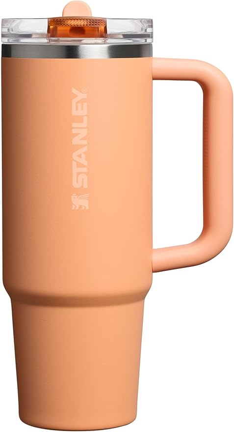 STANLEY Quencher ProTour Flip Straw Tumbler with Leakproof Lid | Built-In Straw & Handle | Cupholder Compatible for Travel | Insulated Stainless Steel Cup | BPA-Free