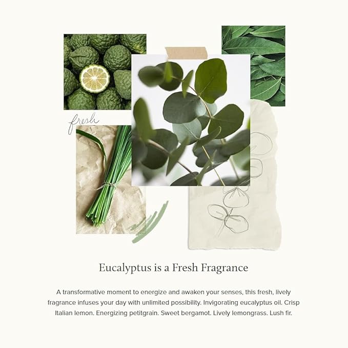 Thymes Large Hand Wash - Eucalyptus- 15 Fl Oz
