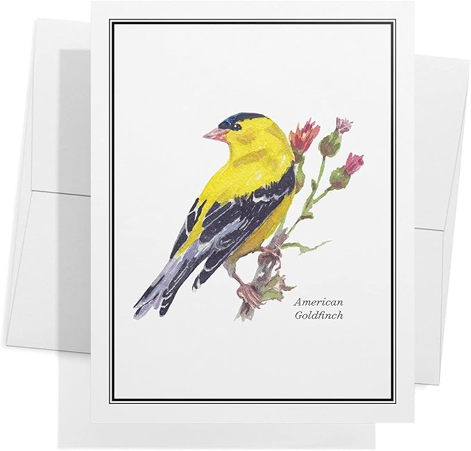 Twigs Paper - Assorted American Birds Greeting Cards - Stationery Cards with Envelopes - Thank You Card - Blank Note Cards - Greeting Cards for All Occasions - Made in USA (5.5 x 4.25, Set of 12)