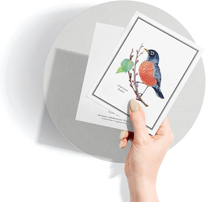 Twigs Paper - Assorted American Birds Greeting Cards - Stationery Cards with Envelopes - Thank You Card - Blank Note Cards - Greeting Cards for All Occasions - Made in USA (5.5 x 4.25, Set of 12)