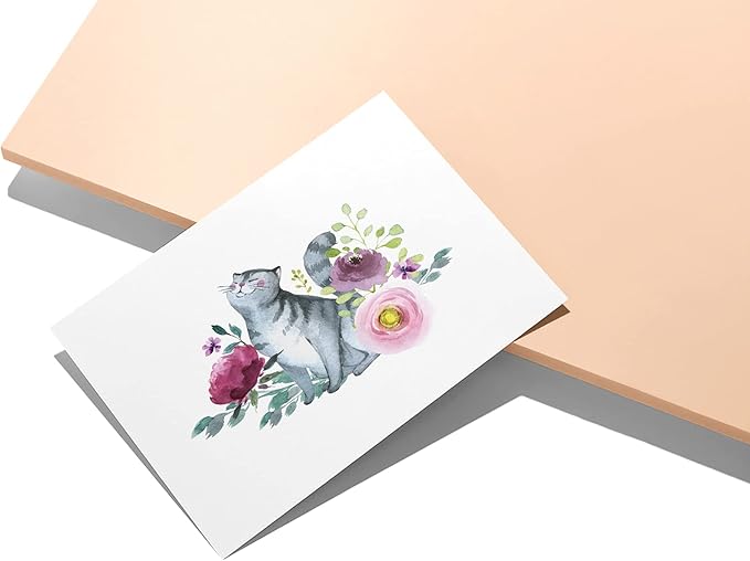 Twigs Paper - Assorted Cat Greeting Cards - Stationery Cards with Envelopes - Thank You Card - Blank Note Cards - Greeting Cards for All Occasions - Made in USA (5.5 x 4.25, Set of 12)