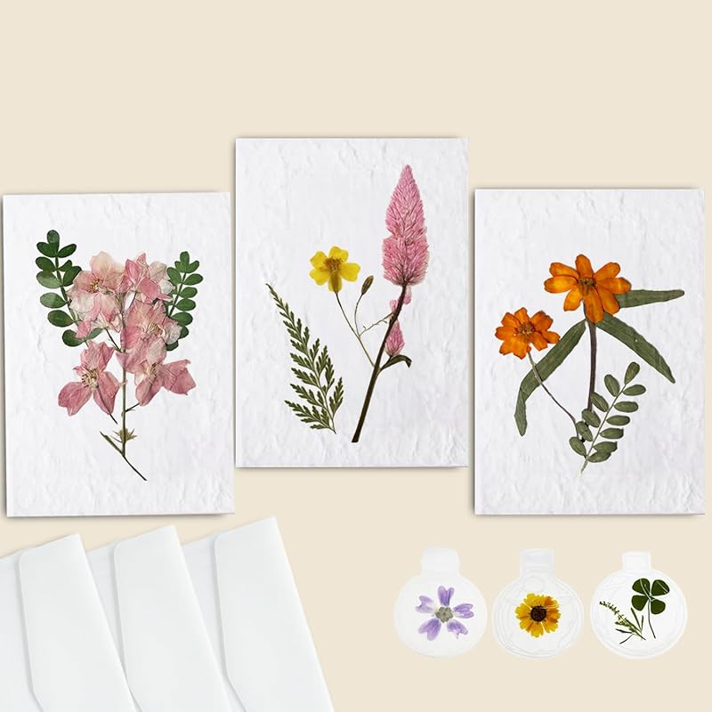 Handmade Pressed Flower Notecard Set with Real Flowers, 4x6 inches, Dongba Paper, Translucent Envelope, 3-Piece Gift Set, Perfect for Business, Birthday, Wedding, Congratulations, Gift, Thank you