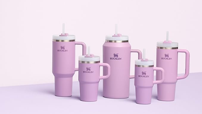 STANLEY Quencher H2.0 Tumbler with Handle and Straw 20 oz | Flowstate 3-Position Lid | Cup Holder Compatible for Travel | Insulated Stainless Steel Cup | BPA-Free | Lilac