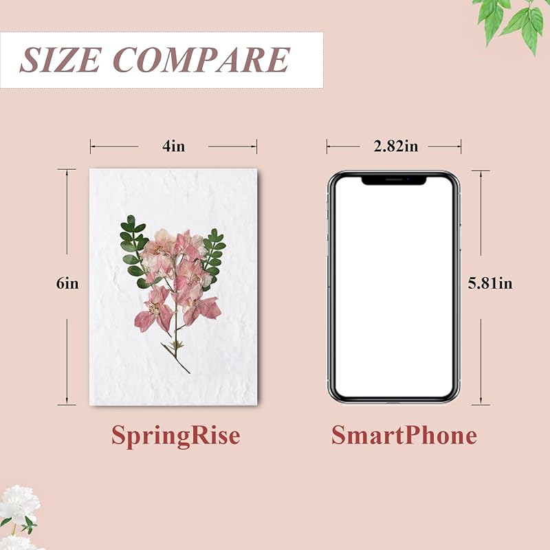 Handmade Real Flower Greeting Card with Transparent Envelopes, 4 * 6 inches, Minimalist Design, Perfect for Business, Weddings, Baby Showers,Birthday, Graduations & Thank you & Holiday & Gift