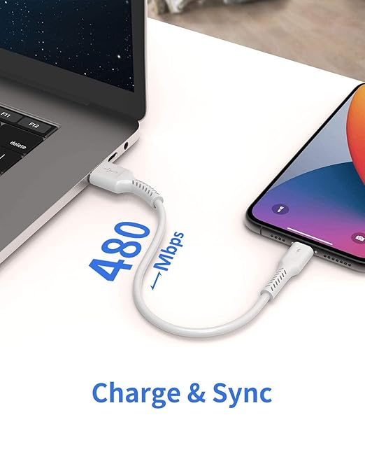 1ft iPhone Charge Cable Short, 5Pack USB to Lightning Cord for Fast Charging Stations 1 Foot Compatible with Apple iPhone 12 11 Pro Max Xs 8 7 6 5 Plus, iPad Air/Mini