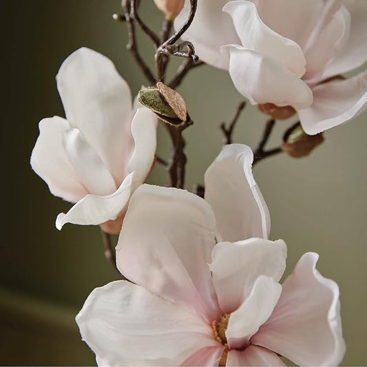 Thymes Hand Wash, Large - Magnolia Willow - 15.0 Fl Oz