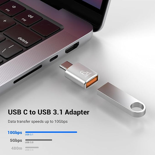 10 Pack 10Gbps/120W USB C to USB3.1 Adapter, Silver Type C Male to USB Female Adapter for Smartphone, PC, Laptop, Tablet, Keyboard etc.