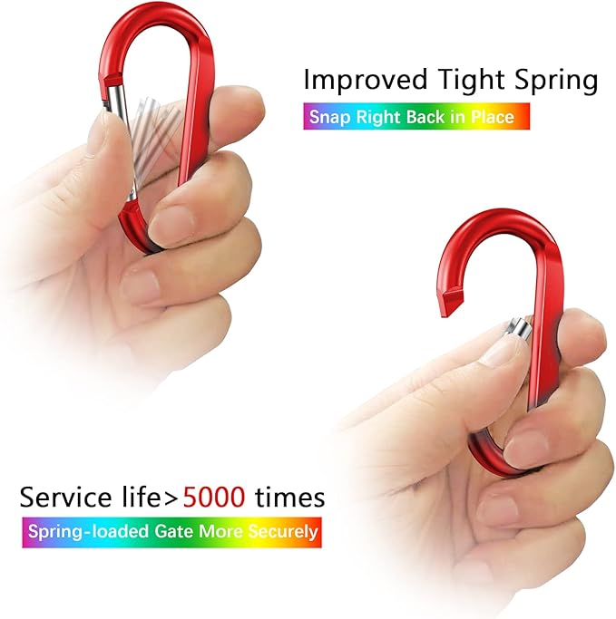 sprookber 3" Carabiner Clip Keychain, D Ring Caribeaner Clip, Key Clip Caribeener, Spring Snap Hook for Bag/Buckle, Set of 10