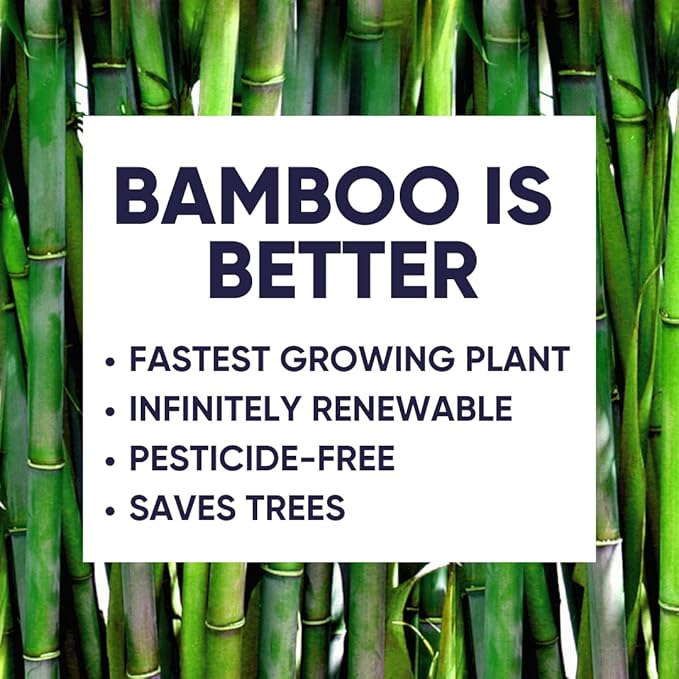 Save Trees Bamboo Facial Tissues - 12 Boxes of Eco-Friendly, 3-Ply Hypoallergenic Tissues, 90 Sheets per Box, FSC Certified, Plastic-Free Packaging, Soft & Gentle for Home Use