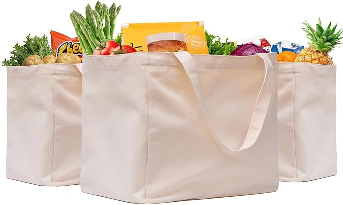 3 Pack Canvas Shopping Bags for Groceries, Holds 60 lbs Heavy Duty Reusable Canvas Grocery Bag, 8.3 gal Multi-Purpose Washable Canvas Grocery Bags Reusable Shopping Bags with 5 Pockets, Off white