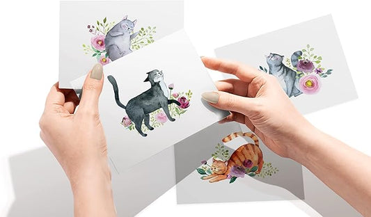 Twigs Paper - Assorted Cat Greeting Cards - Stationery Cards with Envelopes - Thank You Card - Blank Note Cards - Greeting Cards for All Occasions - Made in USA (5.5 x 4.25, Set of 12)