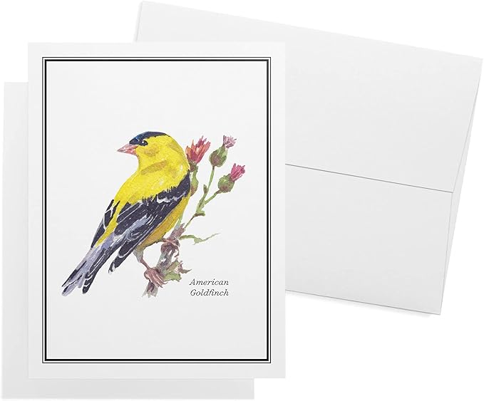 Twigs Paper - Assorted American Birds Greeting Cards - Stationery Cards with Envelopes - Thank You Card - Blank Note Cards - Greeting Cards for All Occasions - Made in USA (5.5 x 4.25, Set of 12)