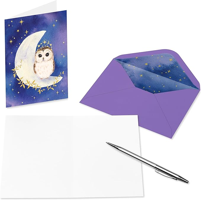 Papyrus 14-Count Blank Cards with Envelopes (Celestial Owl)