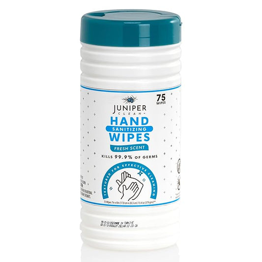 1 Pack Hand Sanitizing Wipes, Alcohol Free 75 Count Canister Disposable Hand Sanitizer Wipes, Fresh Scent, Lint Free & Durable