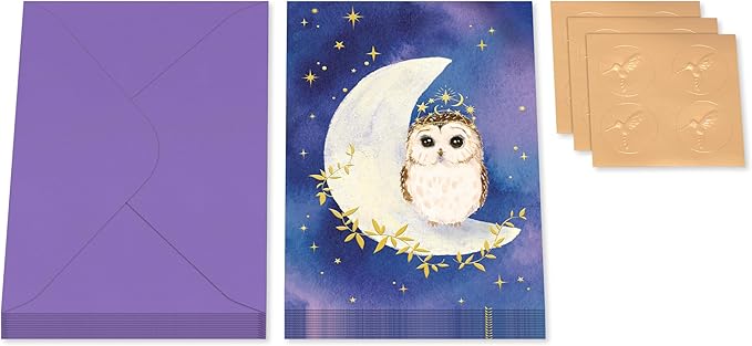 Papyrus 14-Count Blank Cards with Envelopes (Celestial Owl)