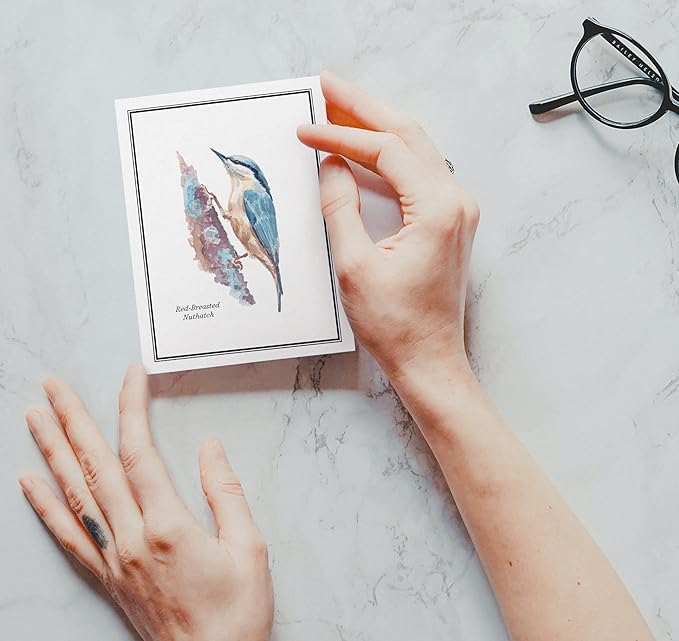 Twigs Paper - Assorted American Birds Greeting Cards - Stationery Cards with Envelopes - Thank You Card - Blank Note Cards - Greeting Cards for All Occasions - Made in USA (5.5 x 4.25, Set of 12)