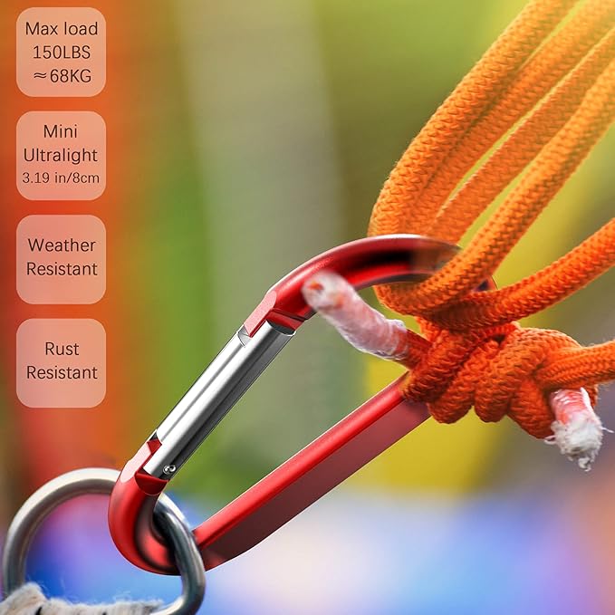 sprookber 3" Carabiner Clip Keychain, D Ring Caribeaner Clip, Key Clip Caribeener, Spring Snap Hook for Bag/Buckle, Set of 10