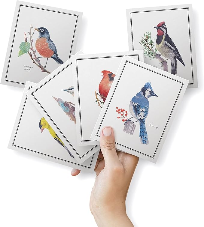 Twigs Paper - Assorted American Birds Greeting Cards - Stationery Cards with Envelopes - Thank You Card - Blank Note Cards - Greeting Cards for All Occasions - Made in USA (5.5 x 4.25, Set of 12)