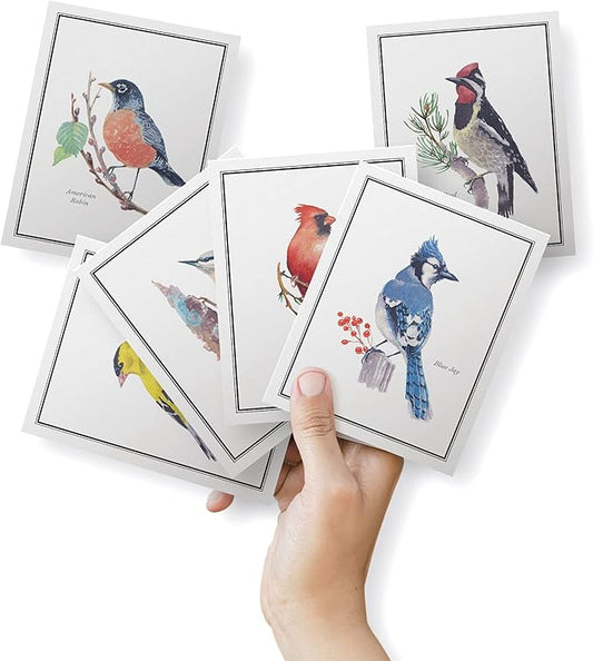 Twigs Paper - Assorted American Birds Greeting Cards - Stationery Cards with Envelopes - Thank You Card - Blank Note Cards - Greeting Cards for All Occasions - Made in USA (5.5 x 4.25, Set of 12)