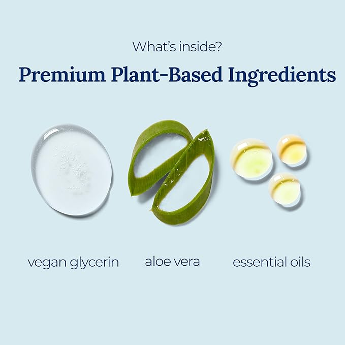 Tangerine Coriander Spray Hand Sanitizer | Travel Size | Hydrate & Cleanse | Made with Aloe Vera & Essential Oils | Green Tea Extract | Scented Travel Hand Sanitizer | Hand Sanitizer Spray | 6-Pack