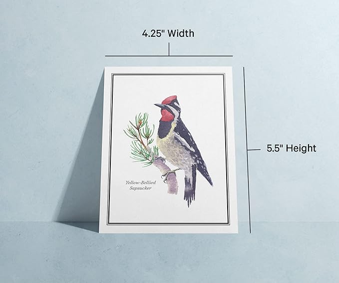 Twigs Paper - Assorted American Birds Greeting Cards - Stationery Cards with Envelopes - Thank You Card - Blank Note Cards - Greeting Cards for All Occasions - Made in USA (5.5 x 4.25, Set of 12)