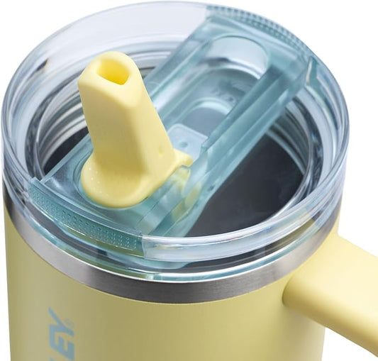 STANLEY Quencher ProTour Flip Straw Tumbler with Leakproof Lid | Built-In Straw & Handle | Cupholder Compatible for Travel | Insulated Stainless Steel Cup | BPA-Free