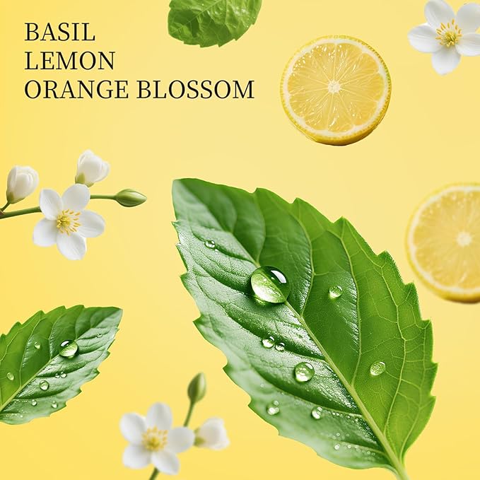 Spray Hand Sanitizer Travel Size Scented 3-Pack - Refillable Hydrating Hand Sanitizers Portable Design Travel Essentials (Mint Reverie, Silver Cedar, Citrus mist at dawn) 0.93Fl Oz Each