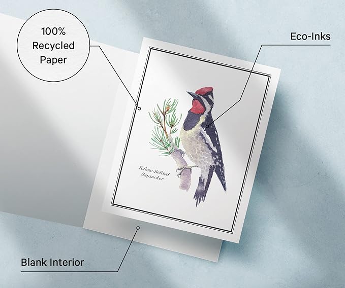 Twigs Paper - Assorted American Birds Greeting Cards - Stationery Cards with Envelopes - Thank You Card - Blank Note Cards - Greeting Cards for All Occasions - Made in USA (5.5 x 4.25, Set of 12)