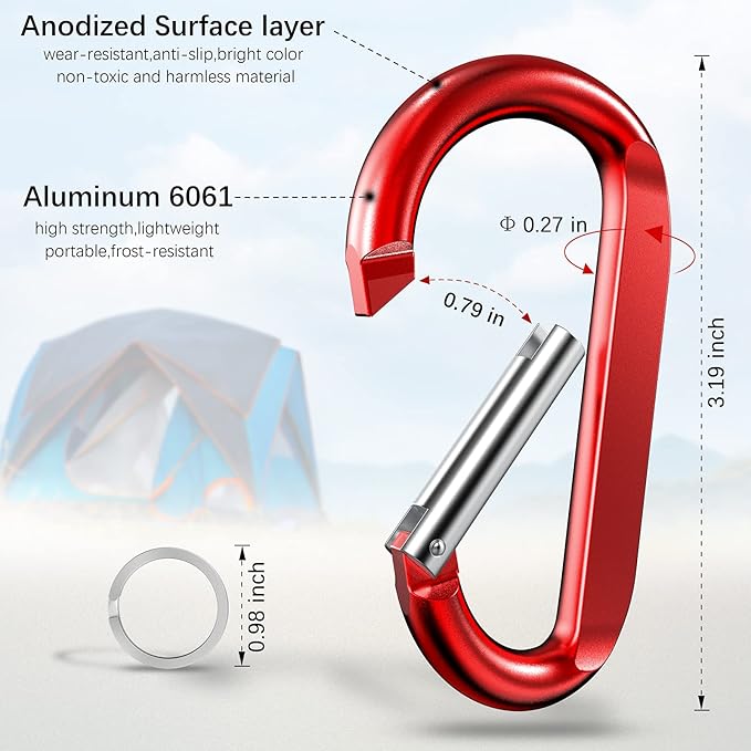 sprookber 3" Carabiner Clip Keychain, D Ring Caribeaner Clip, Key Clip Caribeener, Spring Snap Hook for Bag/Buckle, Set of 10