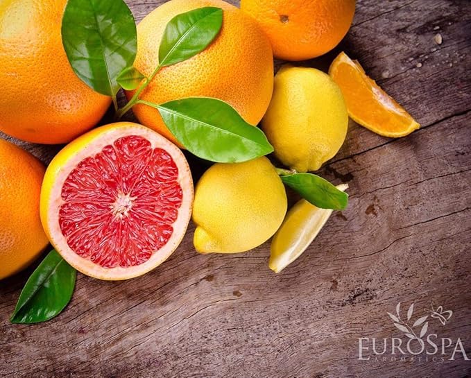 EuroSpa Aromatics Pure Eucalyptus Oil ShowerMist and Steam Room Spray, All-Natural Premium Aromatherapy Essential Oils - Citrus Infused, 8oz, 2 Pack