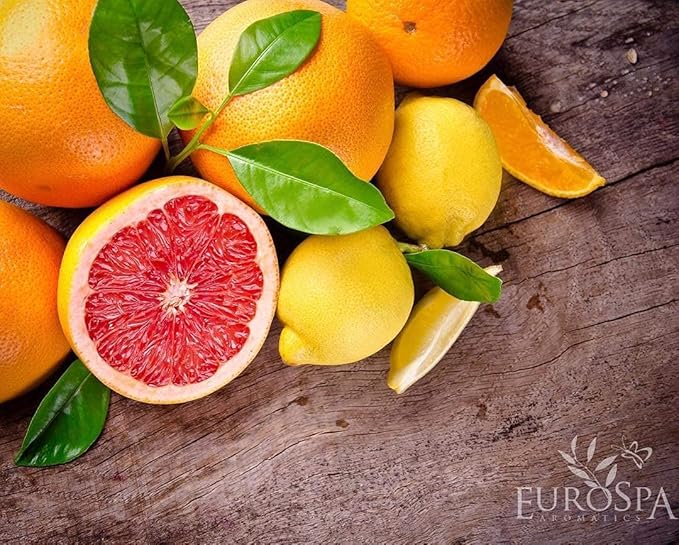 EuroSpa Aromatics Pure Eucalyptus Oil ShowerMist and Steam Room Spray, All-Natural Premium Aromatherapy Essential Oils - Citrus Infused, 2oz