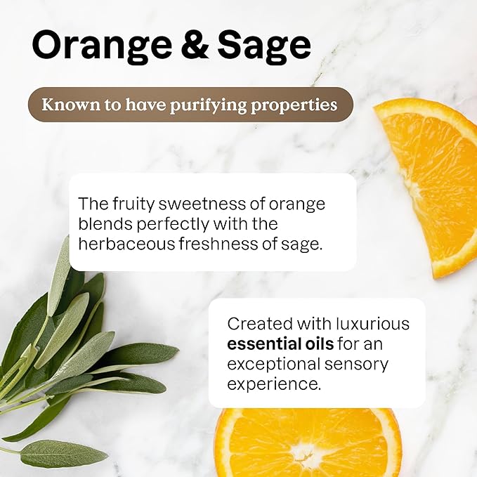 ATTITUDE Multi-Purpose Cleaner with Essential Oils, EWG Verified, Plant and Mineral-Based Ingredients, Vegan Household Products, Refillable Aluminum Bottle, Orange and Sage, 16 Fl Oz (Pack of 6)