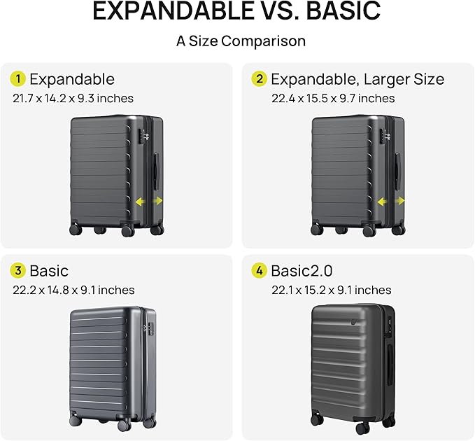 NINETYGO Carry On Luggage 22x14x9 Airline Approved, 20 Inch Luggage with Smooth Spinner Wheels, Lightweight, Hard Shell PC Suitcase Carry-On, Travel Luggage, TSA Approved (Purple, Rhine Basic2.0)