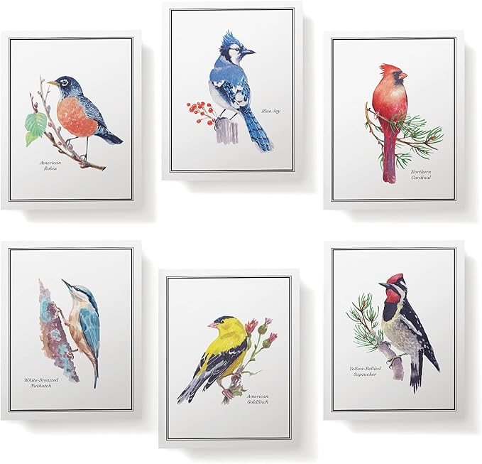 Twigs Paper - Assorted American Birds Greeting Cards - Stationery Cards with Envelopes - Thank You Card - Blank Note Cards - Greeting Cards for All Occasions - Made in USA (5.5 x 4.25, Set of 12)