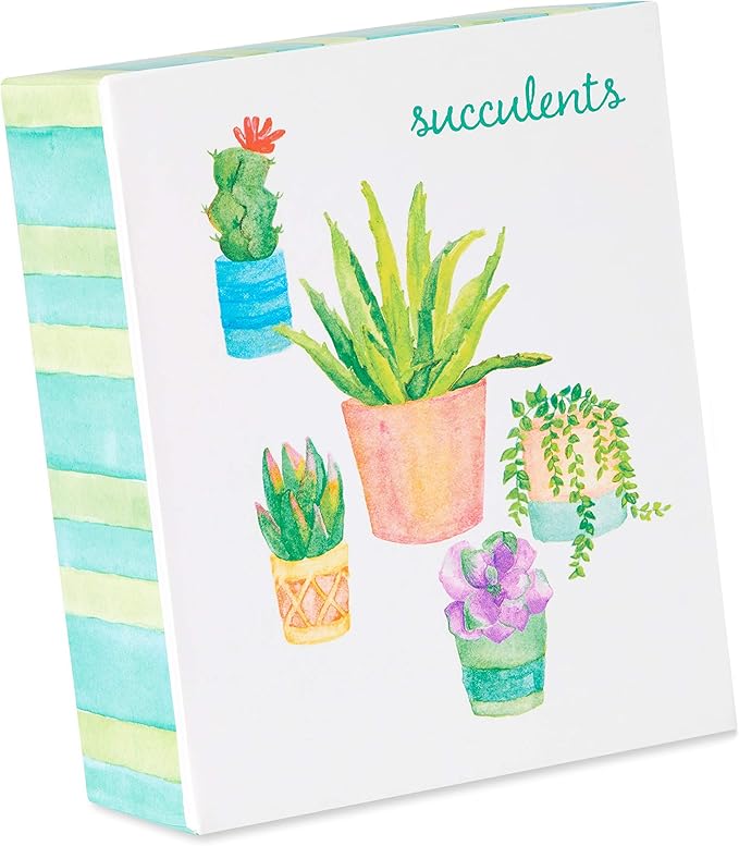 Papyrus Thank You Cards with Envelopes, Succulent (20-Count)