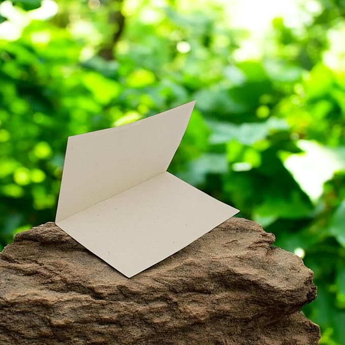 Kathmandu Valley Co. Nepali Cherish Greeting Card & Envelope Box Set with Handmade Lokta Paper from Nepal, 15 Cards (Rainforest)